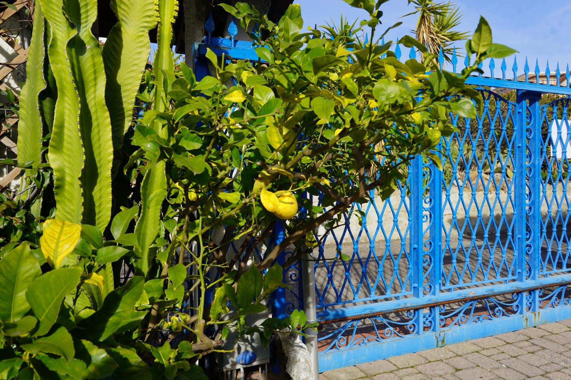 Villa Rita Sea Front View Sanremo - Parcheggio Gratuito In Struttura Εξωτερικό φωτογραφία